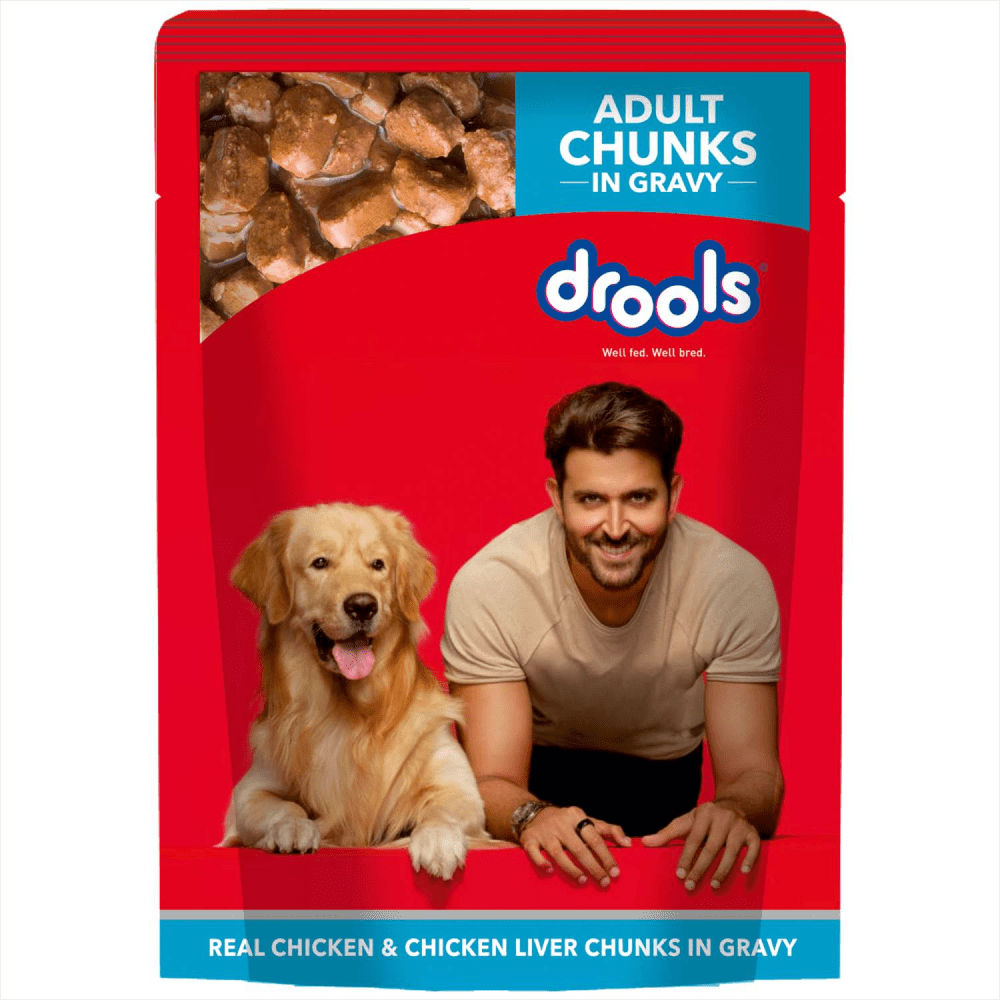 Drools Real Chicken & Chicken Liver Chunks in Gravy Adult Dog Wet Food — side view