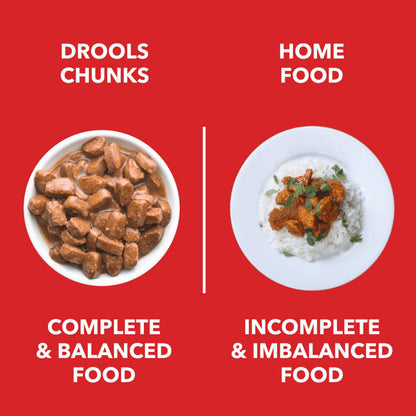 Drools Real Chicken & Chicken Liver Chunks in Gravy Adult Dog Wet Food — detail shot