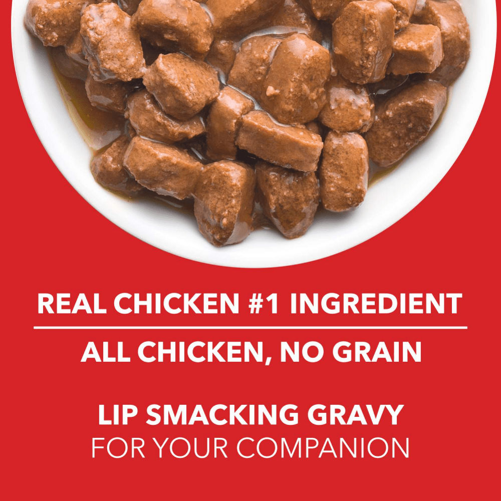 Drools Real Chicken & Chicken Liver Chunks in Gravy Adult Dog Wet Food — in use