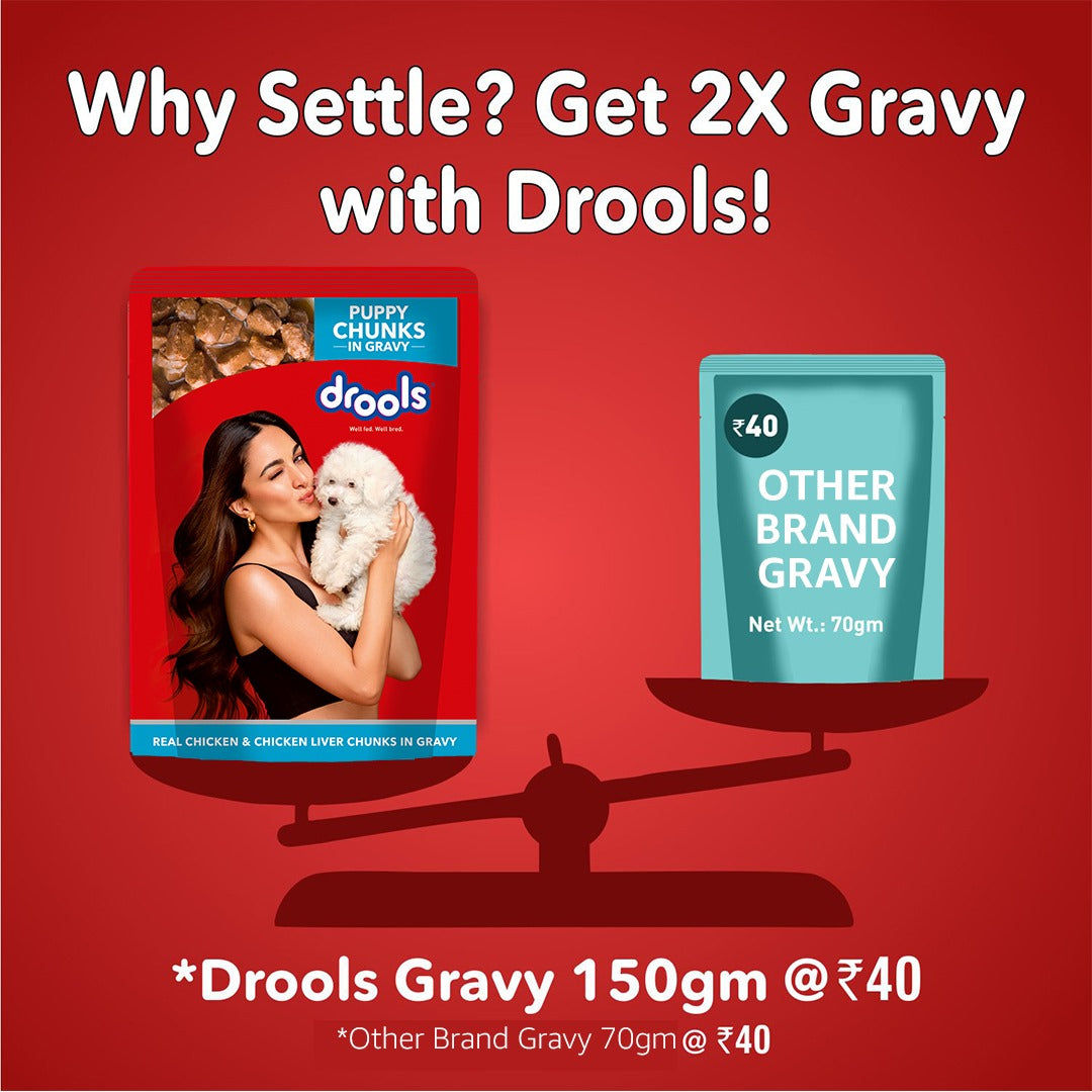 Drools Real Chicken & Chicken Liver Chunks in Gravy Puppy Dog Wet Food — side view