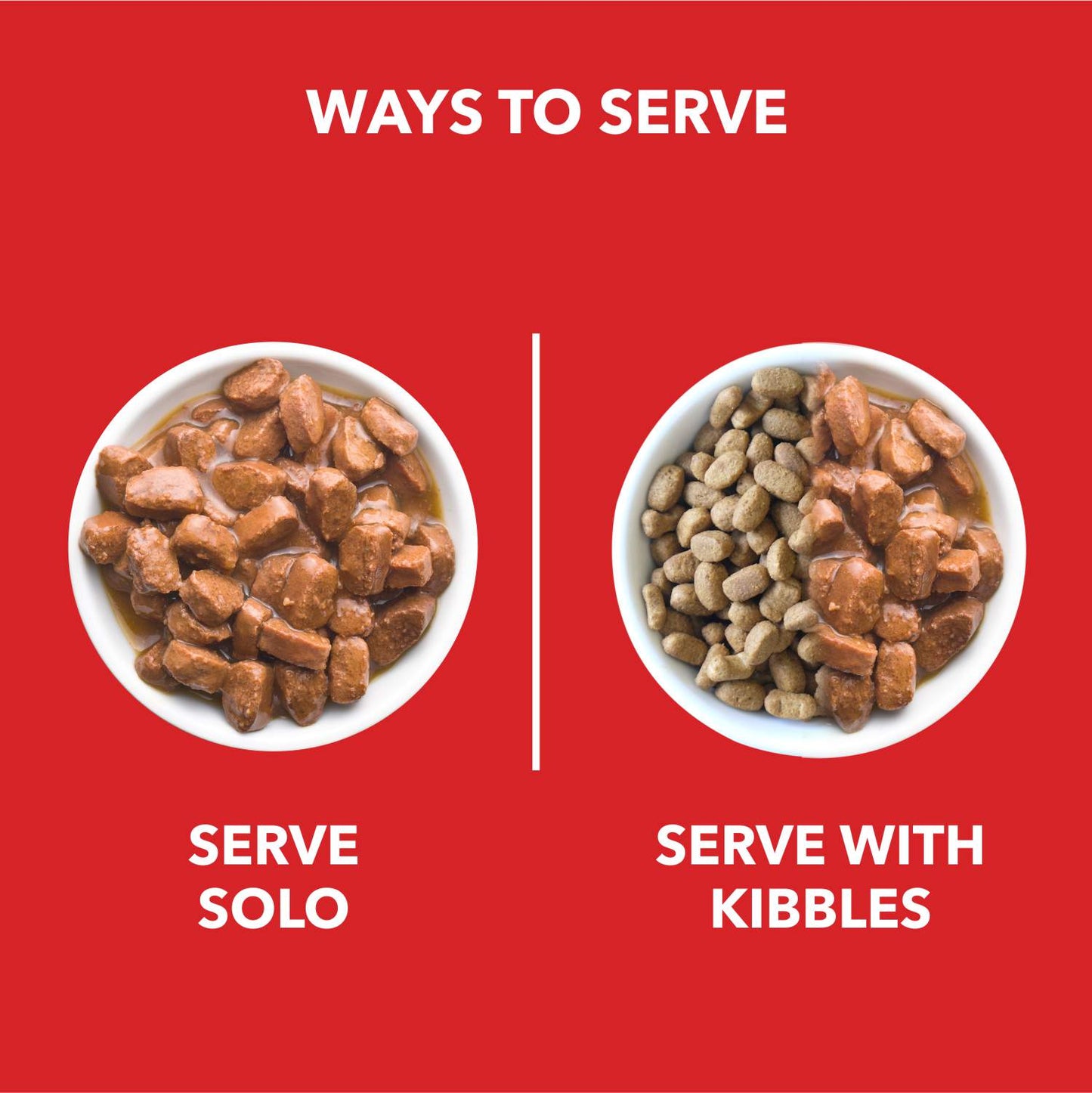 Drools Real Chicken & Chicken Liver Chunks in Gravy Puppy Dog Wet Food — in use