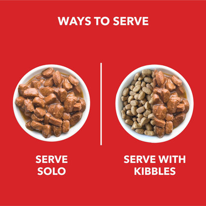 Drools Real Chicken & Chicken Liver Chunks in Gravy Puppy Dog Wet Food — in use
