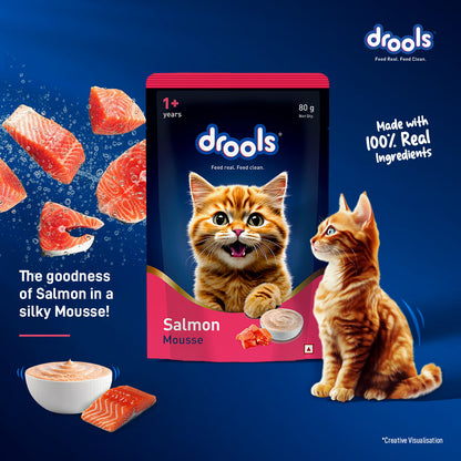 Drools Salmon Mousse Adult Cat Wet Food — in use