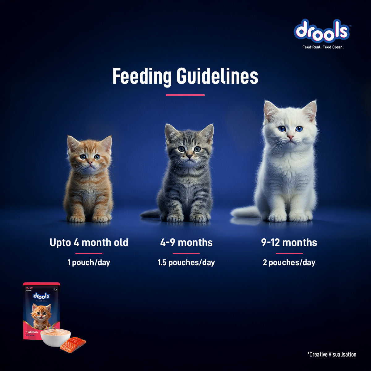 Drools Salmon Mousse Kitten Cat Wet Food — in use