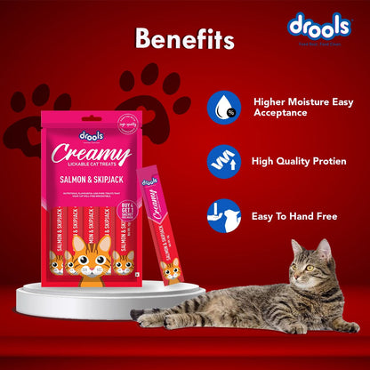 Drools Salmon & Skipjack Creamy Cat Treats — detail shot