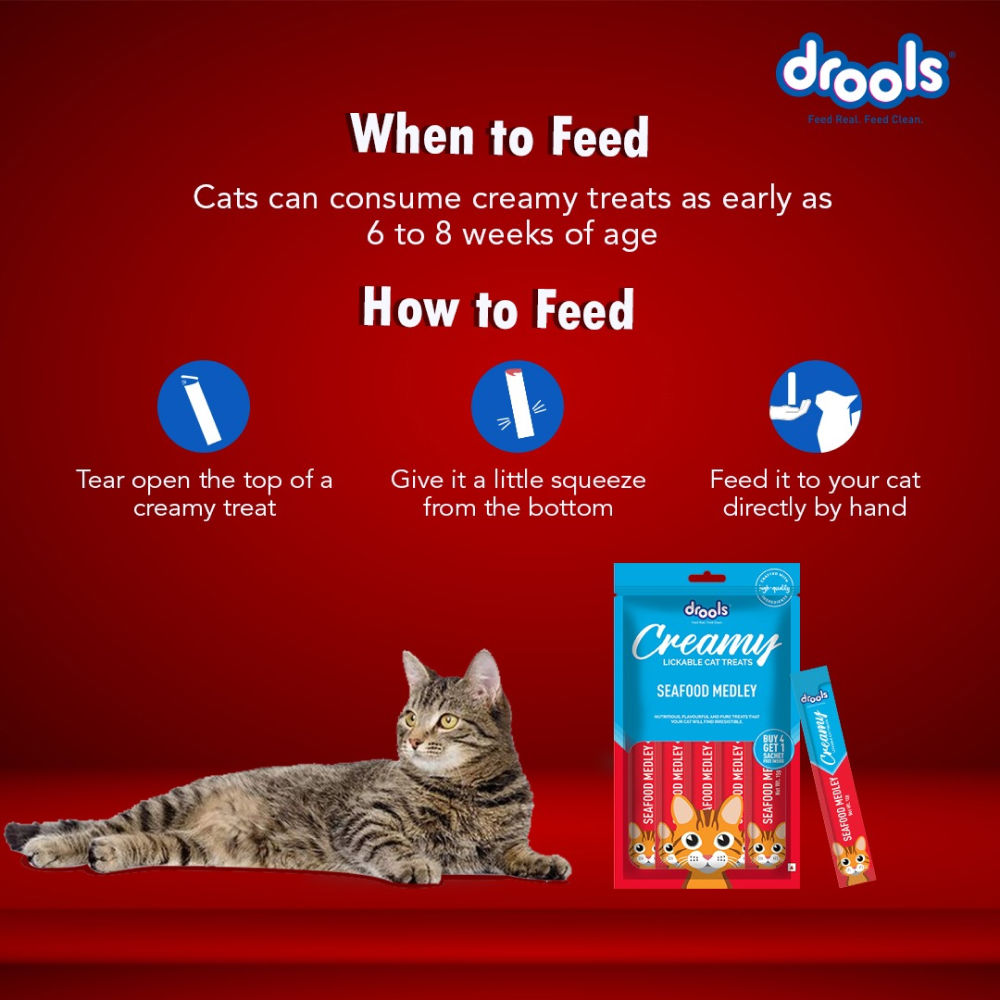 Drools Seafood Medley Creamy Cat Treats — detail shot