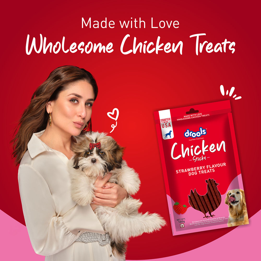 Drools Strawberry Flavour Chicken Sticks Treat for Dogs — detail shot