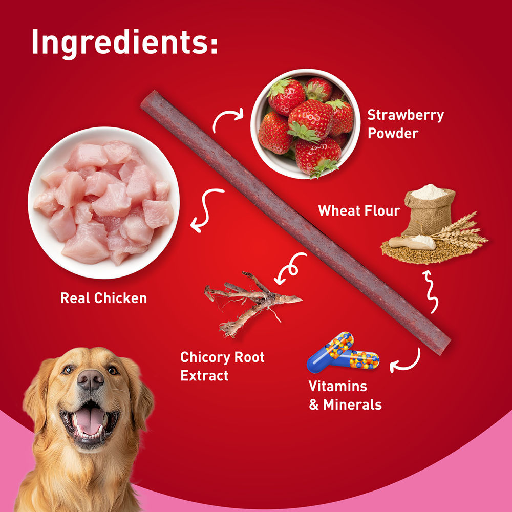 Drools Strawberry Flavour Chicken Sticks Treat for Dogs — in use