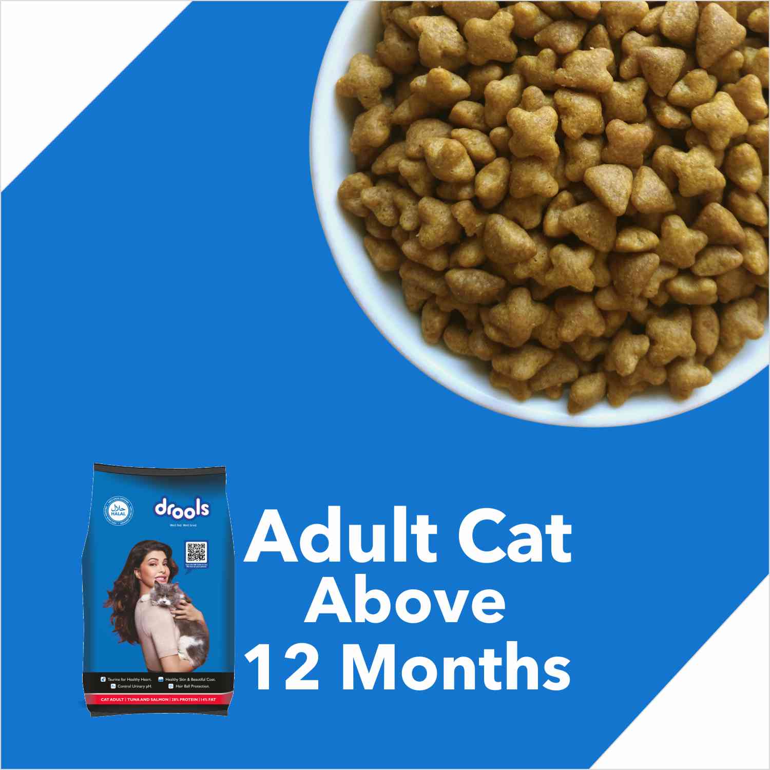 Drools Tuna & Salmon Adult Dry Cat Food — detail shot