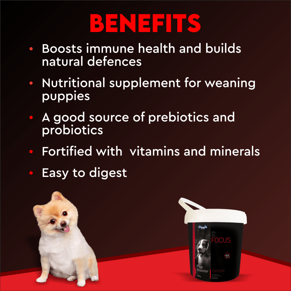 Drools Focus Pup Booster Puppy Weaning Diet for All Breeds — back view