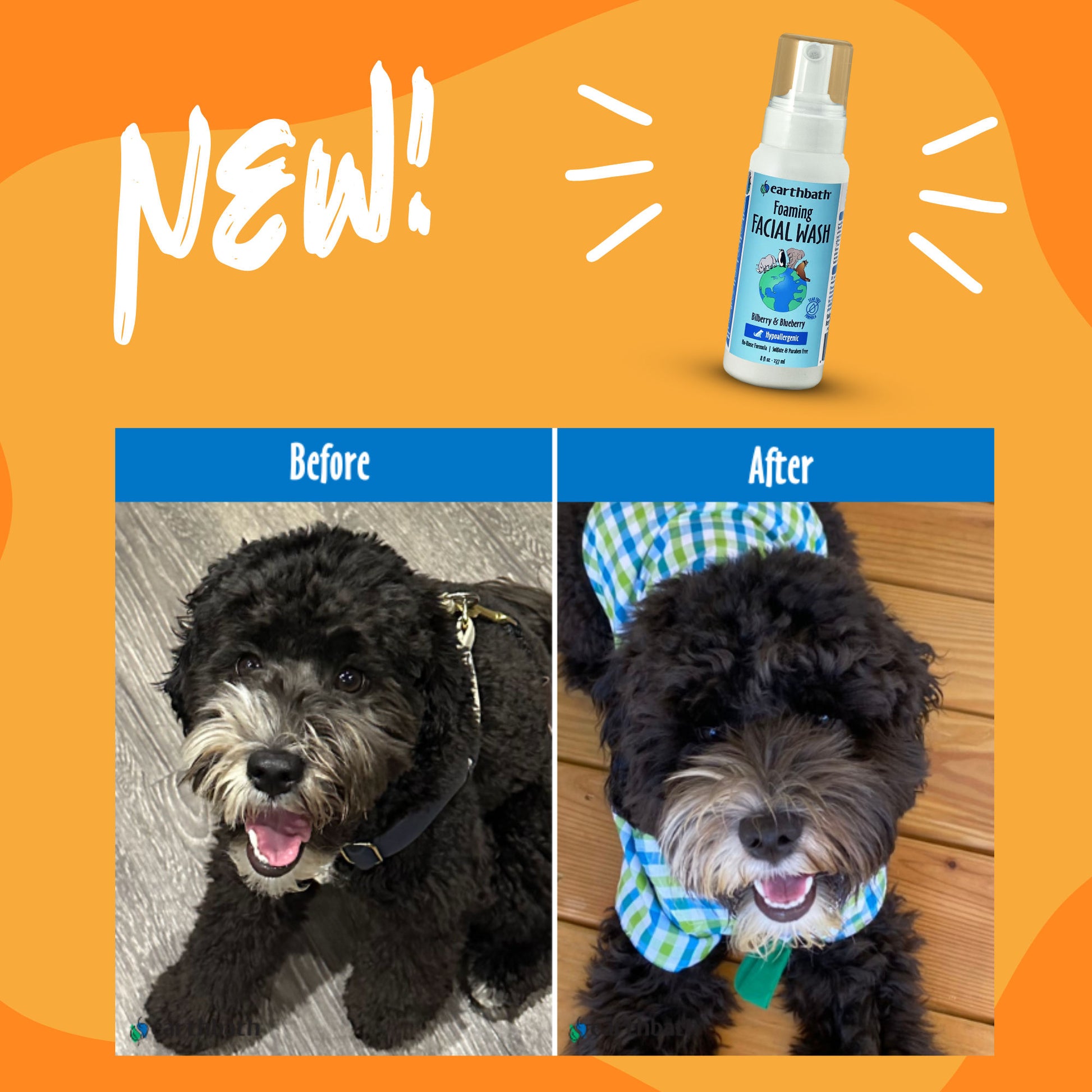 EarthBath Bilberry and Blueberry Scented Foaming Face Wash for Dogs and Cats — in use