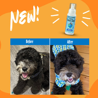 EarthBath Bilberry and Blueberry Scented Foaming Face Wash for Dogs and Cats — in use