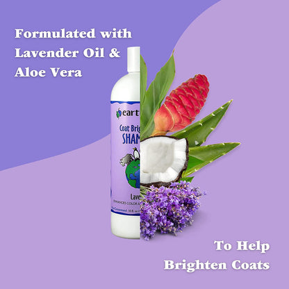 EarthBath Lavender Coat Brightening Shampoo for Dogs and Cats — back view