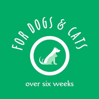 EarthBath Peppermint Flavor Tooth & Gum Wipes for Dogs and Cats — in use