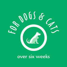 Earthbath Shea Butter Spray For Dogs And Cats - Image 2