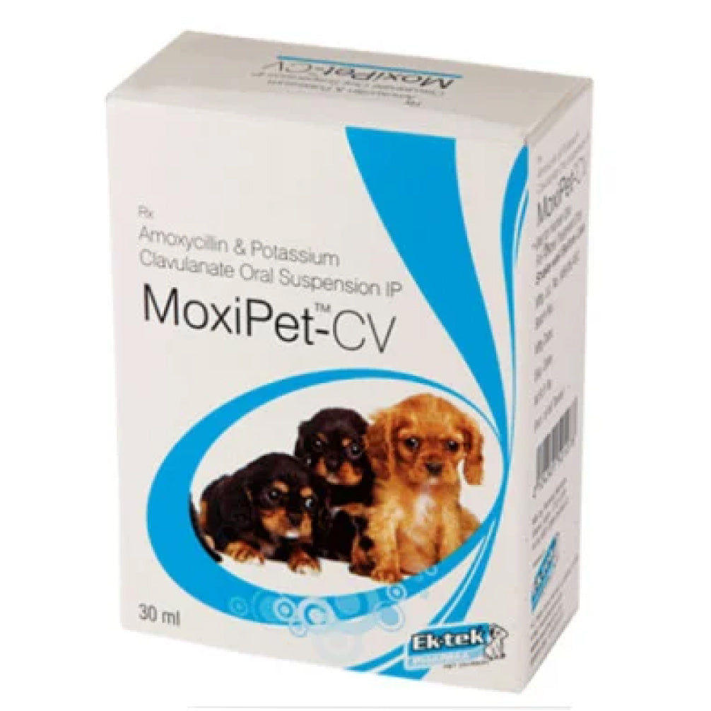 Ektek Pharma Moxipet Cv Dry Suspention 30Ml For Dogs