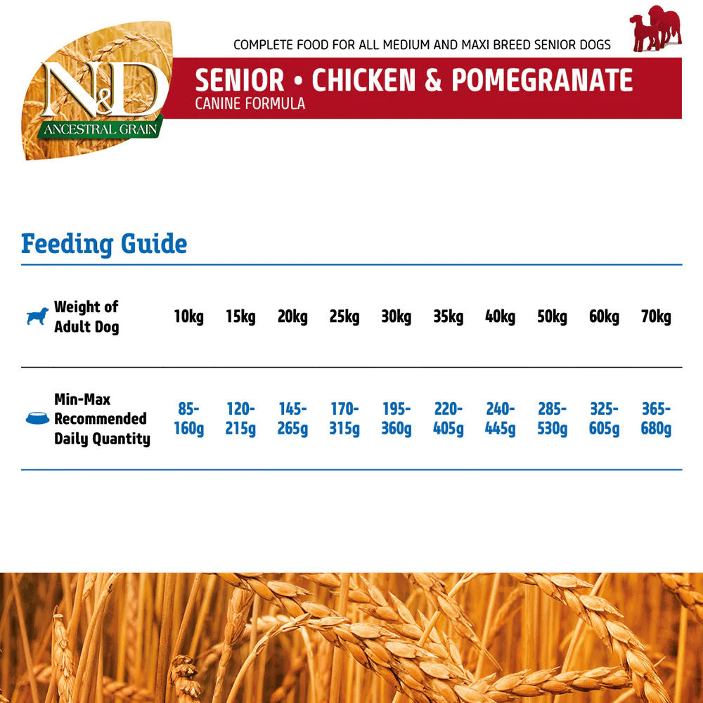 Farmina N&D Chicken & Pomegranate Ancestral Grain Senior Medium Maxi Dog Dry Food — in use