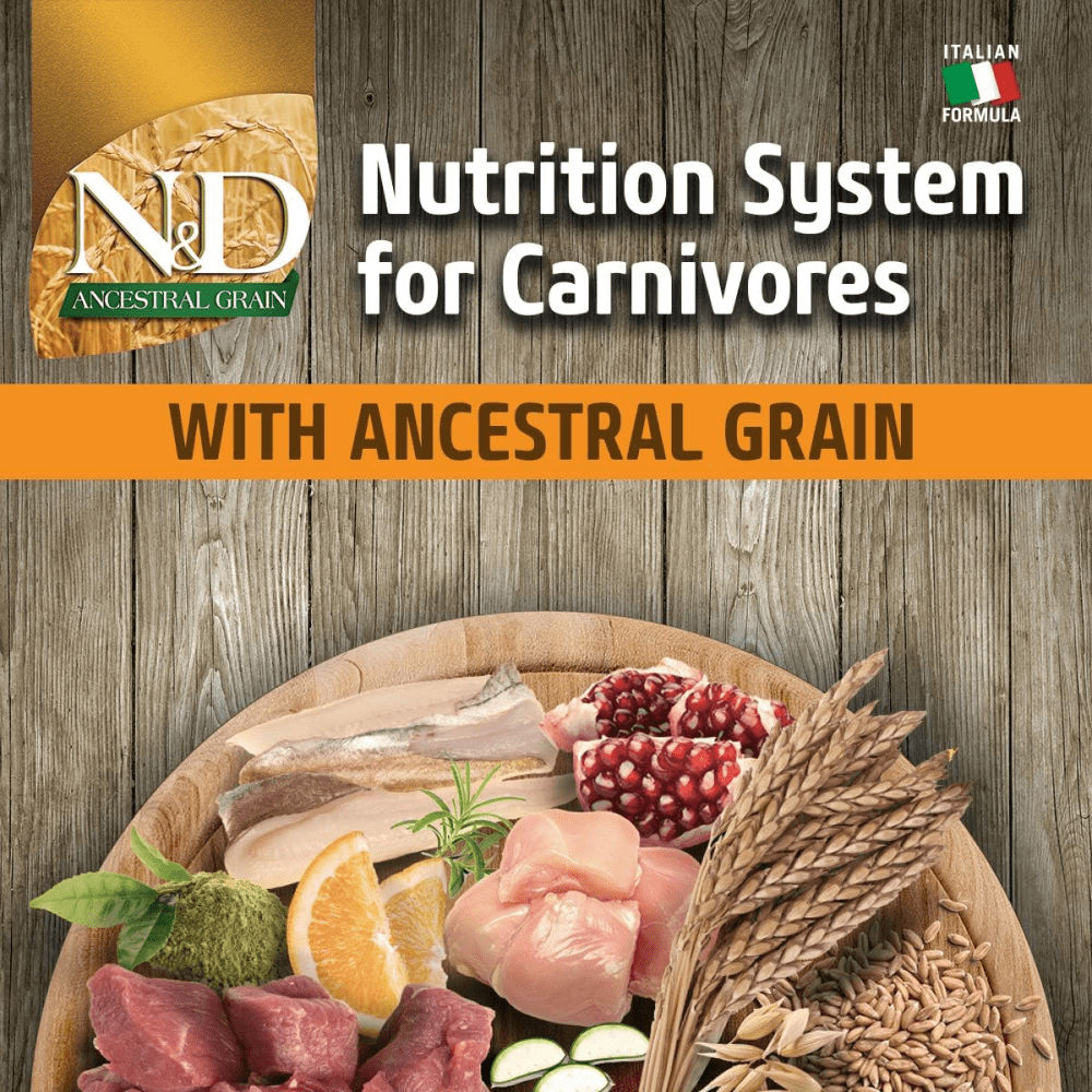 Farmina N&D Chicken & Pomegranate Ancestral Grain Starter Puppy Dog Dry Food — detail shot