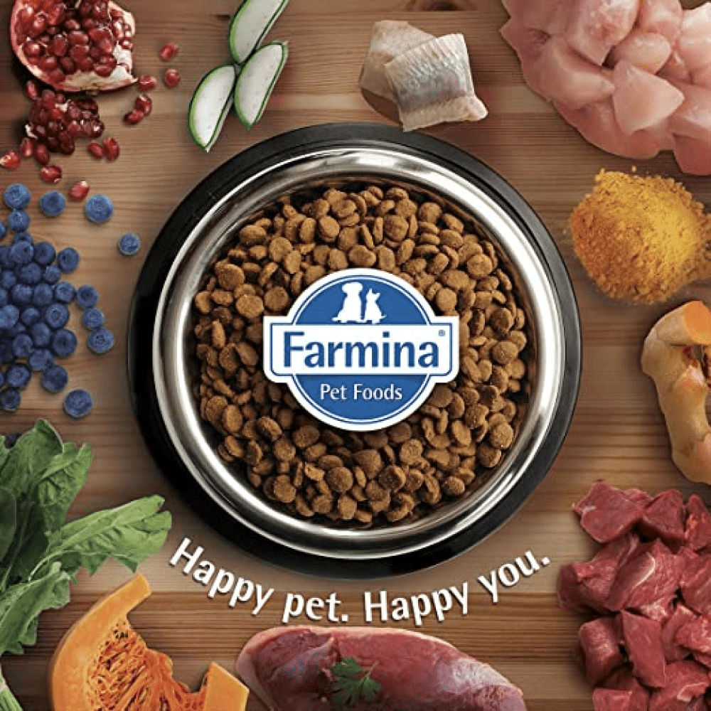 Farmina N&D Ocean Codfish Orange & Pumpkin Grain Free Adult Medium Maxi Dog Dry Food — in use