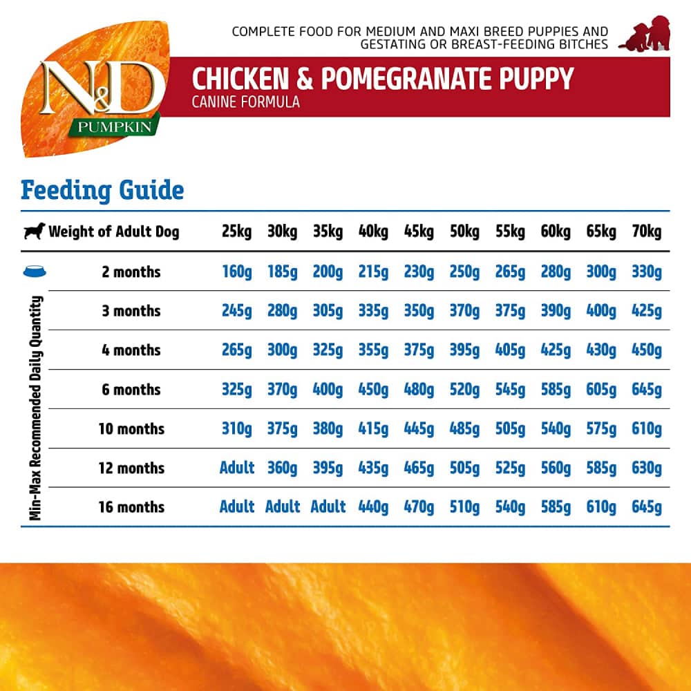 Farmina N&D Pumpkin Chicken & Pomegranate Grain Free Puppy Medium Maxi Dog Dry Food — detail shot