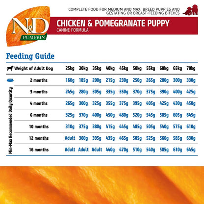 Farmina N&D Pumpkin Chicken & Pomegranate Grain Free Puppy Medium Maxi Dog Dry Food — detail shot