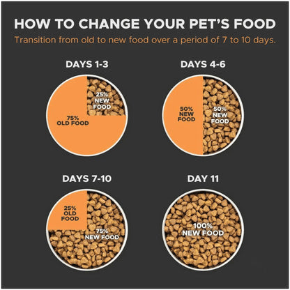 Farmina N&D Pumpkin Lamb & Blueberry Grain Free Adult Medium Maxi Dog Dry Food — detail shot
