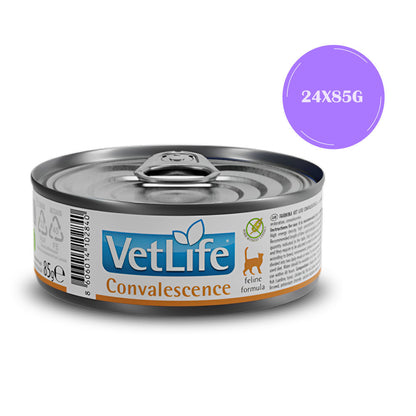 farmina-vet-life-convalescence-feline-formula-cat-wet-food-copy 24x85g