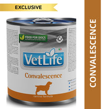 Farmina Vet Life Convalescence Canine Formula Dog Wet Food 1