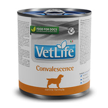 Farmina Vet Life Convalescence Canine Formula Dog Wet Food 1 - Image 2