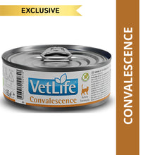 Farmina Vet Life Convalescence Feline Formula Cat Wet Food Copy