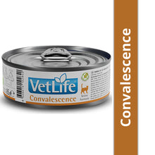 Farmina Vet Life Convalescence Feline Formula Cat Wet Food Copy - Image 2