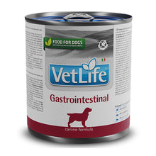 Farmina Vet Life Gastrointestinal Canine Formula Dog Wet Food Lmadd - Image 2