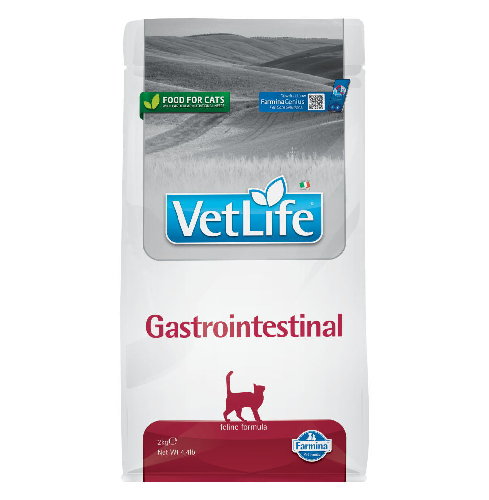 Farmina Vet Life Gastrointestinal Feline Formula Cat Dry Food — detail shot