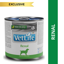 Farmina Vet Life Renal Canine Formula Dog Wet Food 1