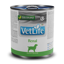 Farmina Vet Life Renal Canine Formula Dog Wet Food 1 - Image 2