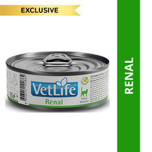 Farmina Vet Life Renal Feline Formula Cat Wet Food 1