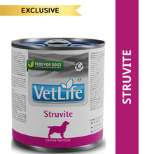 Farmina Vet Life Struvite Canine Dog Wet Food 1