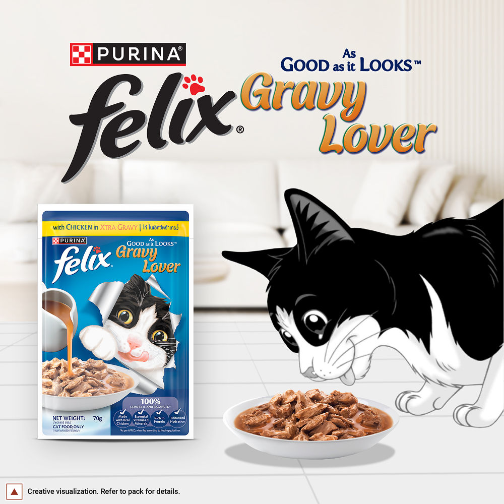 Purina Felix Gravy Lover Chicken Chunks Adult Complete and Balanced Cat Wet Food — detail shot