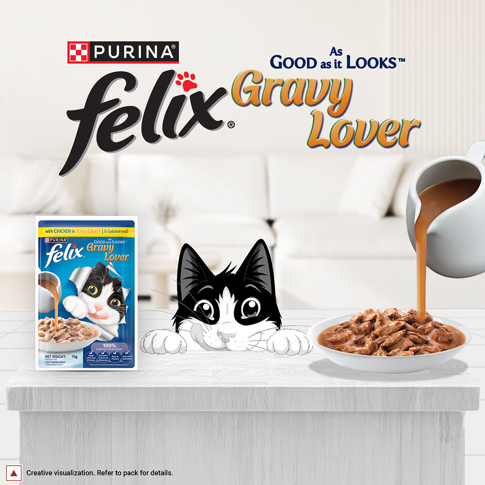 Purina Felix Gravy Lover Chicken Chunks Adult Complete and Balanced Cat Wet Food — in use