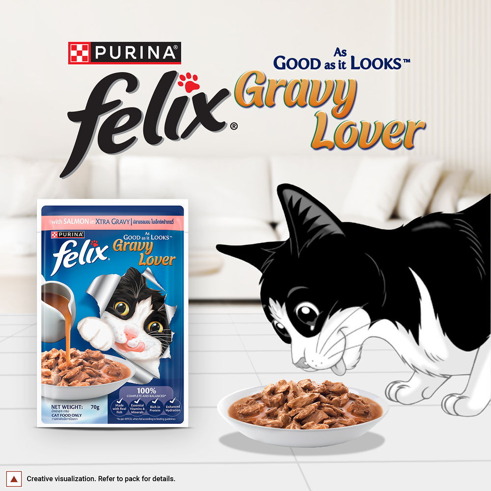 Purina Felix Gravy Lover Salmon Chunks Adult Complete and Balanced Cat Wet Food — side view