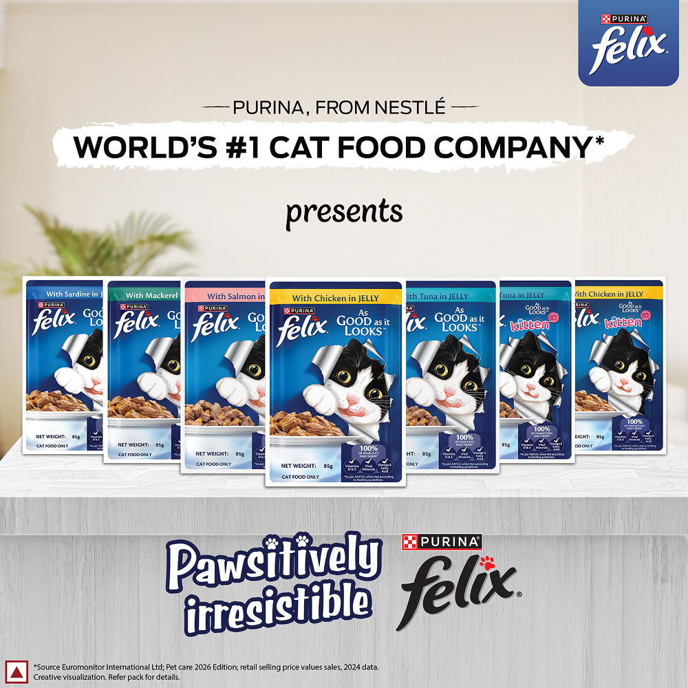 Purina Felix with Chicken in Jelly Complete and Balanced Adult Cat Wet Food — detail shot