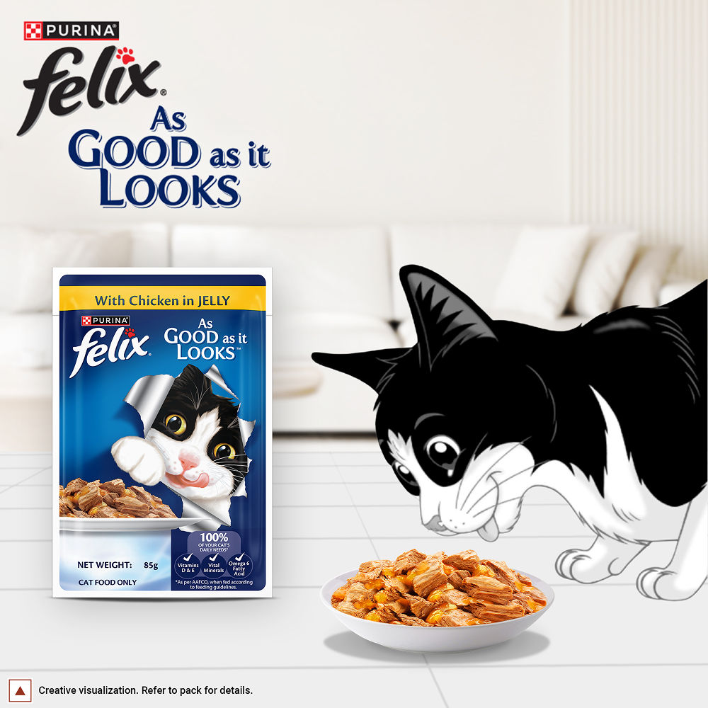 Purina Felix with Chicken in Jelly Complete and Balanced Adult Cat Wet Food — in use