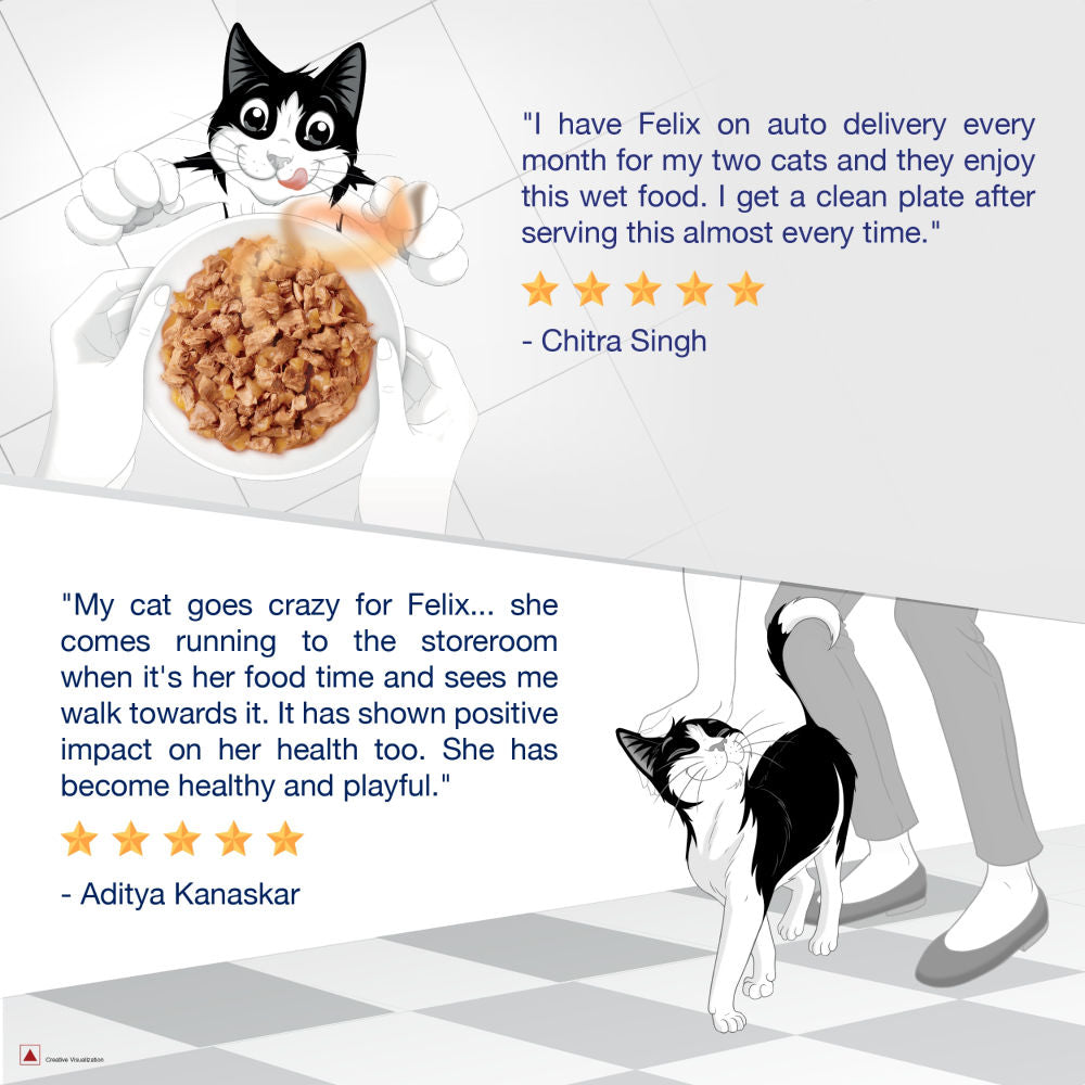 Purina Felix with Mackerel in Jelly Complete and Balanced Adult Cat Wet Food — back view