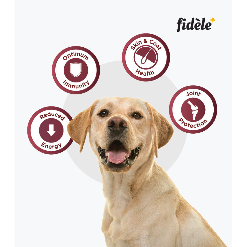 Fidele Plus Adult Light & Senior Dog Dry Food — back view