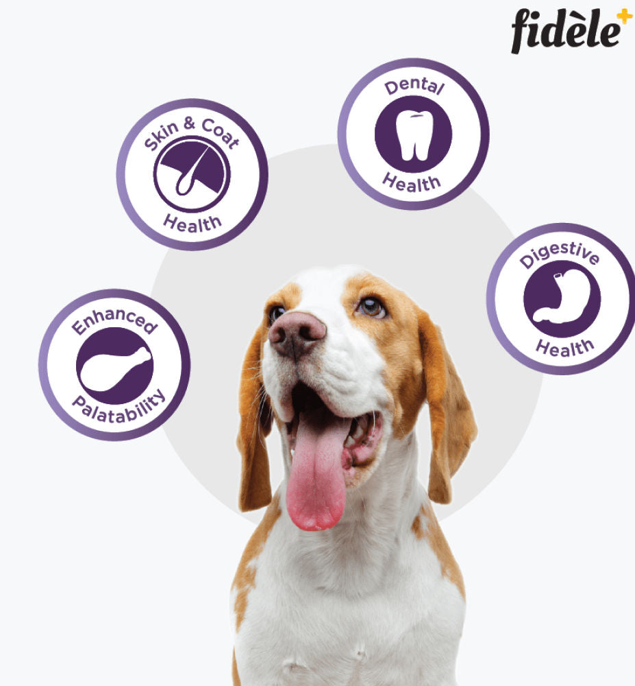 Fidele Plus Adult Small & Medium Dog Dry Food — in use