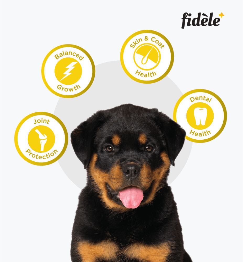 Fidele Plus Large Puppy Dry Food — detail shot