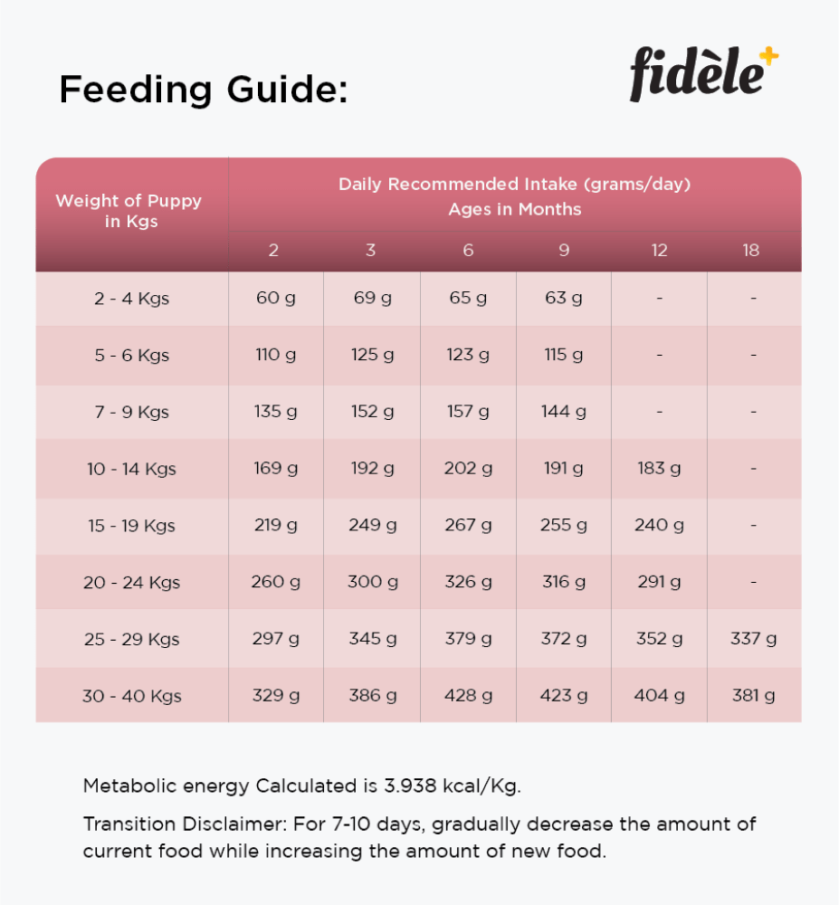 Fidele Plus Small and Medium Puppy Dry Food — detail shot