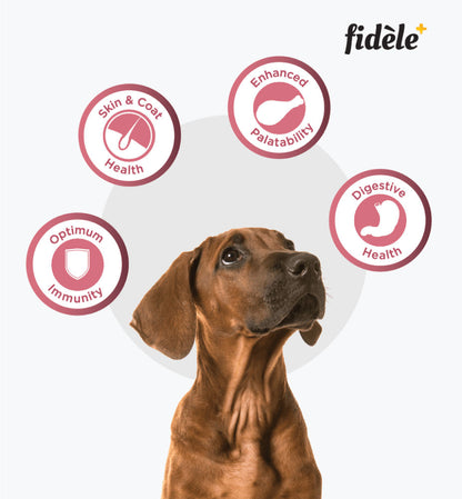 Fidele Plus Small and Medium Puppy Dry Food — in use