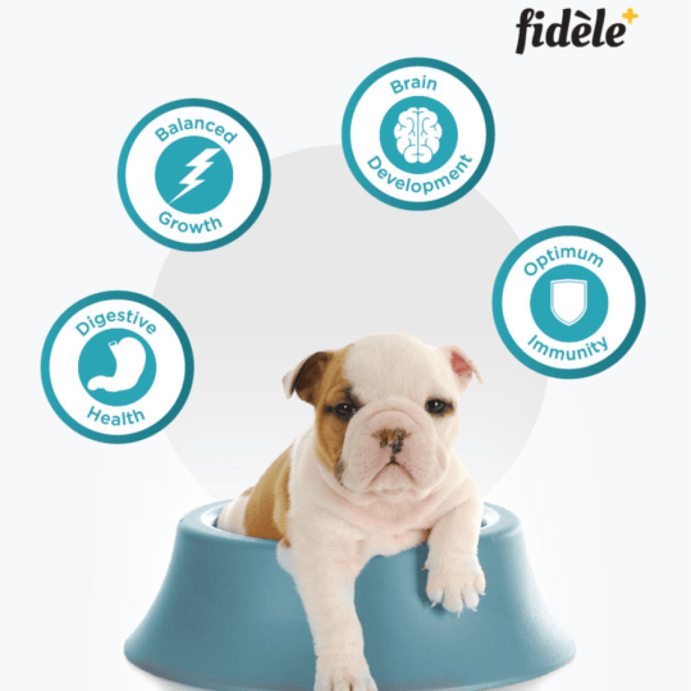Fidele Plus Starter Puppy Dry Food — back view