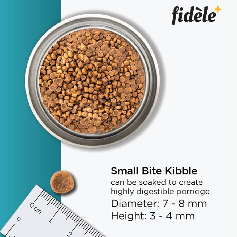 Fidele Plus Starter Puppy Dry Food — in use